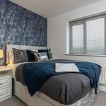 Rent 3 bedroom student apartment in Durham