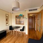 Rent 1 bedroom apartment of 50 m² in Madrid