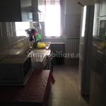 Rent 4 bedroom apartment of 120 m² in Pavia