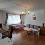 Rent 1 bedroom apartment of 43 m² in Opava