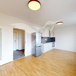 Rent 2 bedroom apartment of 46 m² in Pilsen