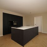 Rent 4 bedroom house of 192 m² in Nieuwediep