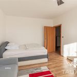 Rent 2 bedroom apartment of 60 m² in Plzeň