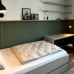 Miete 1 Schlafzimmer wohnung von 27 m² in Osnabrück