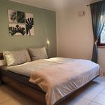 Miete 2 Schlafzimmer wohnung von 53 m² in Altenbamberg