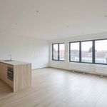 Rent 2 bedroom apartment in Sint-Pieters-Woluwe