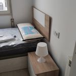 Rent 7 bedroom apartment in Castelló de la Plana