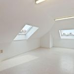 Rent 5 bedroom house of 817 m² in Bilzen