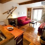 Rent 1 bedroom apartment of 33 m² in Grenoble