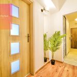 Rent 2 bedroom apartment of 55 m² in Provodov-Šonov