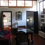 Rent 4 bedroom apartment of 55 m² in Granada