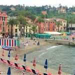Rent 3 bedroom apartment of 93 m² in Rapallo