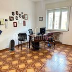 Affitto 4 camera appartamento di 130 m² in Casoria