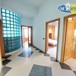 Affitto 3 camera appartamento di 130 m² in Camaiore