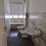 Rent 3 bedroom apartment of 100 m² in Velletri