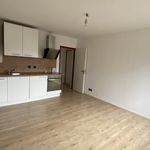 Rent 1 bedroom apartment of 20 m² in Metz