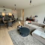 Rent 2 bedroom apartment of 103 m² in Antwerpen
