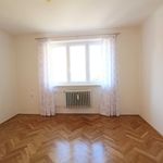 Rent 1 bedroom apartment of 54 m² in Plzeň