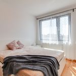 Rent 2 bedroom apartment in Černošice