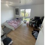 Rent 7 bedroom house in Basadingen