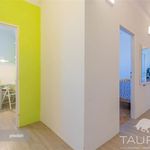 Rent 2 bedroom apartment of 553 m² in Plzeň