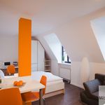 Rent 1 bedroom apartment of 30 m² in Nuremberg