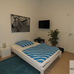 Rent 1 bedroom apartment of 36 m² in Nuremberg