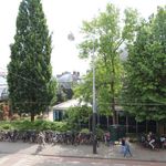 Rent a room of 150 m² in Amsterdam