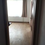 Rent 2 bedroom apartment of 41 m² in Dnešice