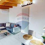 Rent 2 bedroom apartment of 61 m² in Segrate