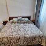 Rent 1 bedroom apartment of 337 m² in Dubai