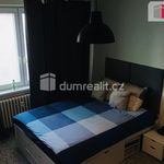 Pronajměte si 1 ložnic/e byt o rozloze 30 m² v Mikulov