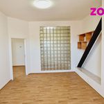 Rent 3 bedroom apartment of 115 m² in Chomutov