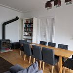 Rent 1 bedroom apartment of 100 m² in Marki