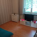 Rent 1 bedroom apartment of 52 m² in Włocławek