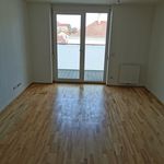 Rent 2 bedroom apartment of 63 m² in Laa an der Thaya