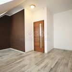 Rent 3 bedroom apartment in Karlovy Vary