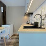 Wynajmij 1 sypialnię apartament z 32 m² w Poznań