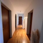 Rent 3 bedroom apartment in Nienburg