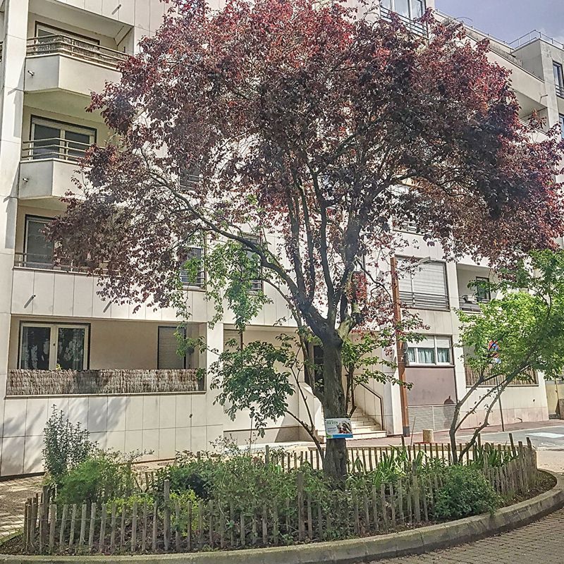 Appartement 2/3 pièces - à louer ISSY-LES-MOULINEAUX - bords de Seine