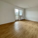 Rent 1 bedroom apartment of 41 m² in Chemnitz