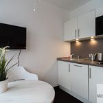 Rent 1 bedroom apartment of 25 m² in Nuremberg