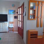 Rent 3 bedroom house of 80 m² in Budoni