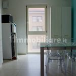 Rent 3 bedroom apartment of 97 m² in Mantova