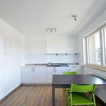 Miete 1 Schlafzimmer wohnung von 16 m² in Nürnberg