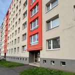 Rent 1 bedroom apartment of 39 m² in Plzeň
