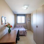 Alquilar 2 dormitorio apartamento en Paterna