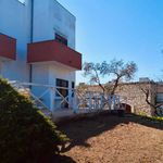 Affitto 5 camera casa di 445 m² in Bitonto