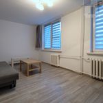 Rent 1 bedroom apartment of 28 m² in Chorzów