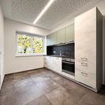 Rent 3 bedroom apartment of 93 m² in Niederkappel